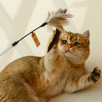 猫粮与狗粮